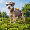 Water-Resistant Dog Rain Suit with Full-Coverage Leg Covers