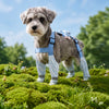 Water-Resistant Dog Rain Suit with Full-Coverage Leg Covers