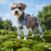 Water-Resistant Dog Rain Suit with Full-Coverage Leg Covers