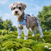 Water-Resistant Dog Rain Suit with Full-Coverage Leg Covers