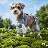 Water-Resistant Dog Rain Suit with Full-Coverage Leg Covers