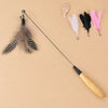 Cat Teaser Wand Toy with Wooden Handle, Feathers and Bell