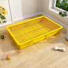 Dog Potty Training Tray with Grated Platform