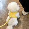 Small Dog Vest Harness with Leash for Everyday Walks