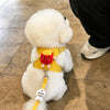 Small Dog Vest Harness with Leash for Everyday Walks