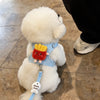 Small Dog Vest Harness with Leash for Everyday Walks
