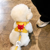 Small Dog Vest Harness with Leash for Everyday Walks