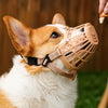Soft Plastic Dog Muzzle with Breathable Mesh
