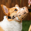 Soft Plastic Dog Muzzle with Breathable Mesh