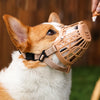 Soft Plastic Dog Muzzle with Breathable Mesh