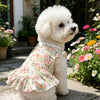 Mesh Pet Skirt for Dogs and Cats