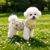 Mesh Pet Skirt for Dogs and Cats