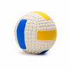 Latex Sports Ball Squeaky Dog Toy