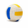 Latex Sports Ball Squeaky Dog Toy