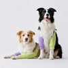 Cotton Dog Front Leg Cover Garment