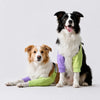 Cotton Dog Front Leg Cover Garment