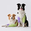 Cotton Dog Front Leg Cover Garment