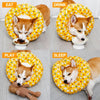 Soft Waterproof Recovery Collar for Dogs