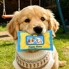 Interactive Tissue Box Squeaky Toy for Small and Medium Dogs