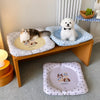 Waterproof Pet Mat