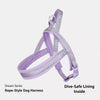 Nylon Dog Harness for Everyday Walks