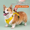 Vest-Style Dog Harness with Round Leash