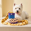 Dog Snuffle Shoe Toy