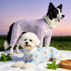 Mesh Four-Leg Dog Outfit
