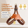 Vest-Style Dog Harness and Leash for Small to Medium Dogs