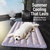Nylon Pet Mat for Dogs and Cats