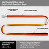 Lightweight Quick-Dry Polyester Dog Leash, 59.1-Inch