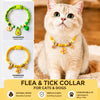Adjustable Nylon Pet Collar with Bell and Camphor Wood Detail