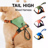 Nylon Dog Harness and Leash Set