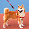 Adjustable Dog Harness Vest