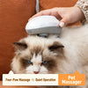 Electric Cat Massage Brush
