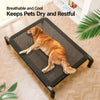 Elevated Mesh Pet Cot for Dogs ¨C Iron Frame, All-Season Design
