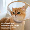 Lightweight Pet Elizabethan Collar