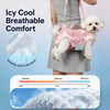 Shoulder Pet Carrier Bag for Small Dogs and Cats