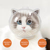 Clear Plastic Cat Cone for Grooming and Care