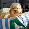 Car Pet Bed with Removable Cover and Seat Belt Strap