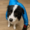 Pet Drying Bag for Dogs and Cats After Bathing