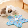 Rechargeable Interactive Cat Toy with Teaser Wand and Hideaway Cover