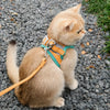 Adjustable Vest-Style Cat Harness with Flat Leash