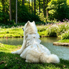 Formal One-Piece Dog Dress for Medium and Large Dogs