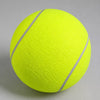 Small Nylon Tennis Ball-Style Dog Toy