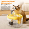 Pet Water Fountain for Cats and Small Dogs