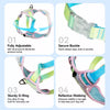 H-Style Polyester Dog Harness