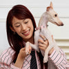 Rhinestone Faux Leather Pet Collar & Leash for Small Dogs & Cats