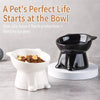 Ceramic Angled Elevated Bowl for Cats and Dogs