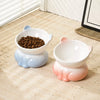 Elevated Ceramic Cat Bowl